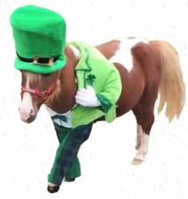 A “Leprechaun pony.”