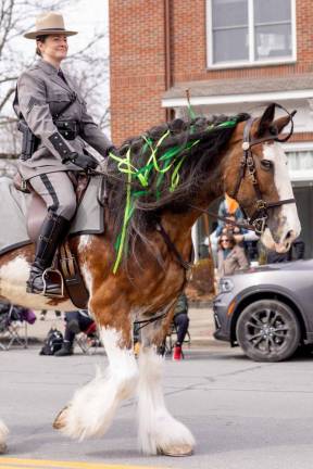 A NYS Police Officer rode horseback down Main St. at the Mid-Hudson St. Patrick's Day Parade in Goshen, NY on March 12, 2023. Photo by Sammie Finch