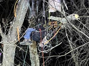 The paraglider became lodged between the branches of a tree upon his descent.