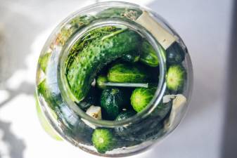 Kosher pickle making for kids