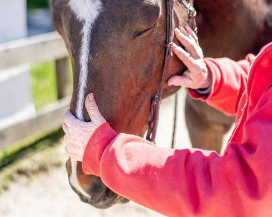 Allow your children to play, everything should be fun. — Martha Dubensky, GAIT Equine Assisted Services, Milford, Pa. Photo by Sammie Finch