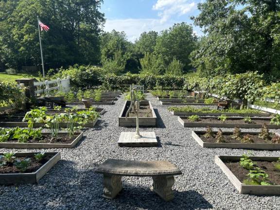 The Andersen’s garden is bursting with produce this summer. Photo provided.