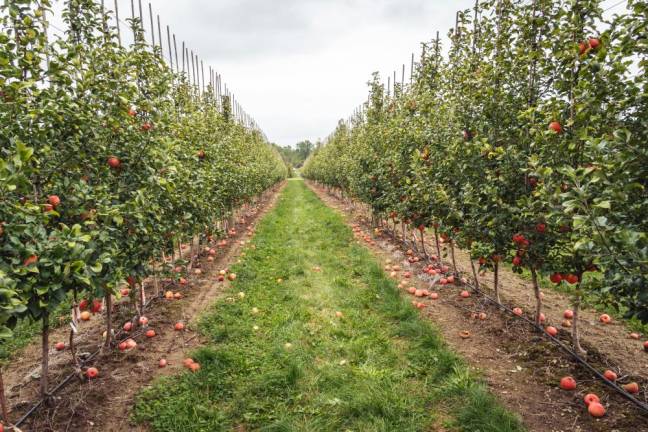 Farmworker Appreciation Day announced