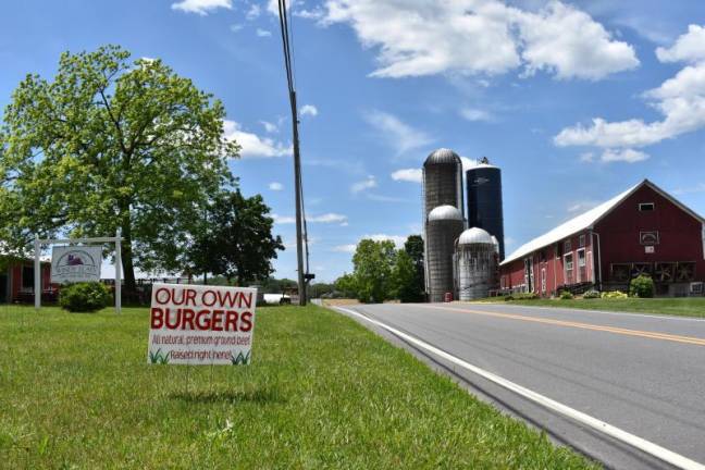 Windy Flats Farm in Wantage, NJ provided ground beef to Vernon and a few other school districts this year. Photo by Becca Tucker