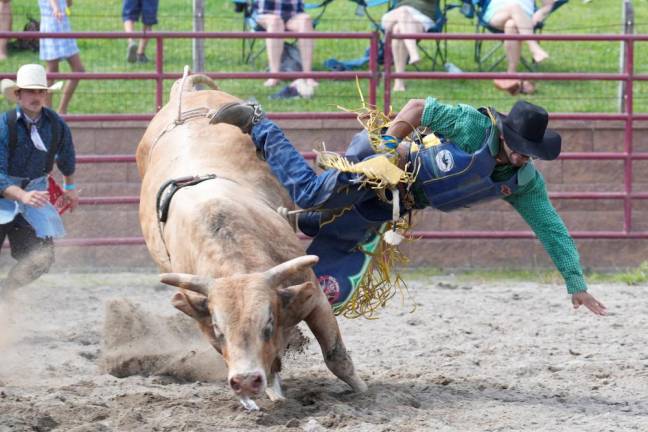 A rider during the Stampede Bullriding Rodeo. Many of them were thrown off their “raging bulls” before the required 8 seconds.