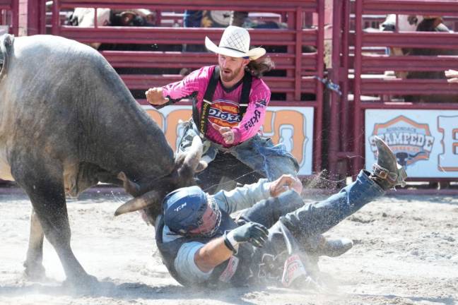 A rider during the Stampede Bullriding Rodeo. Many of them were thrown off their “raging bulls” before the required 8 seconds.