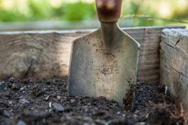 Garden prep workshops announced