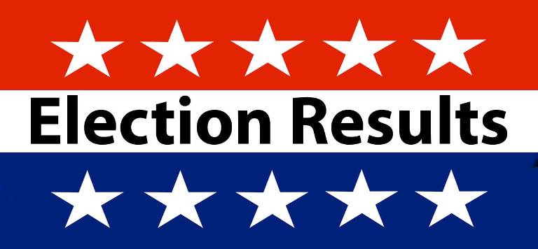 Village of Goshen election results