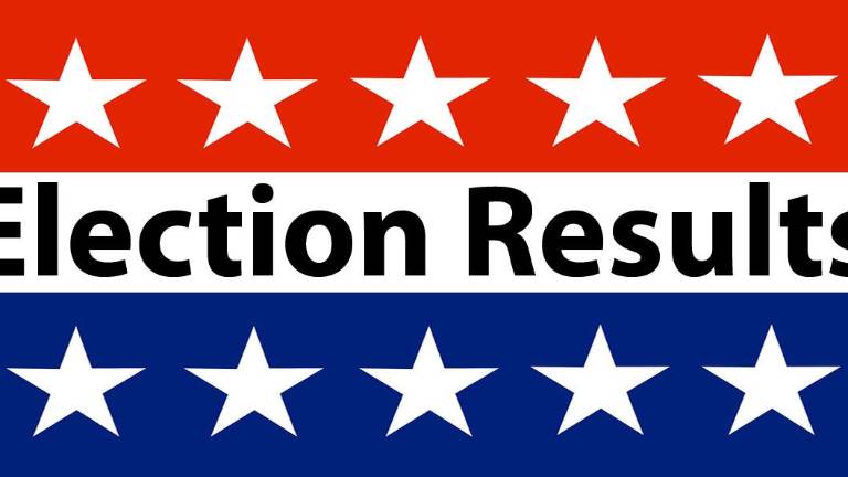 Village of Goshen election results